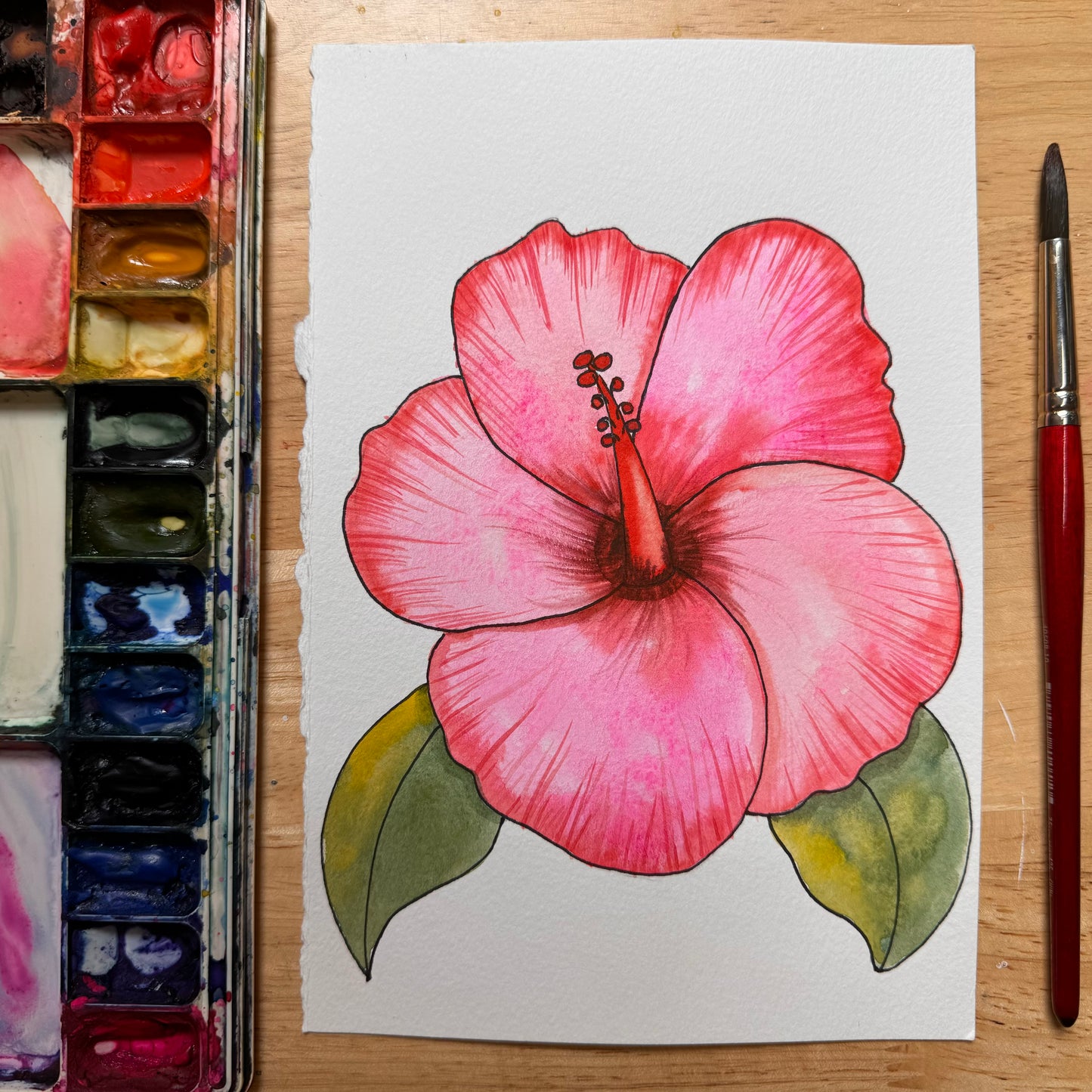Hibiscus Flower Art With Lauren Hibiscus flower art with lauren