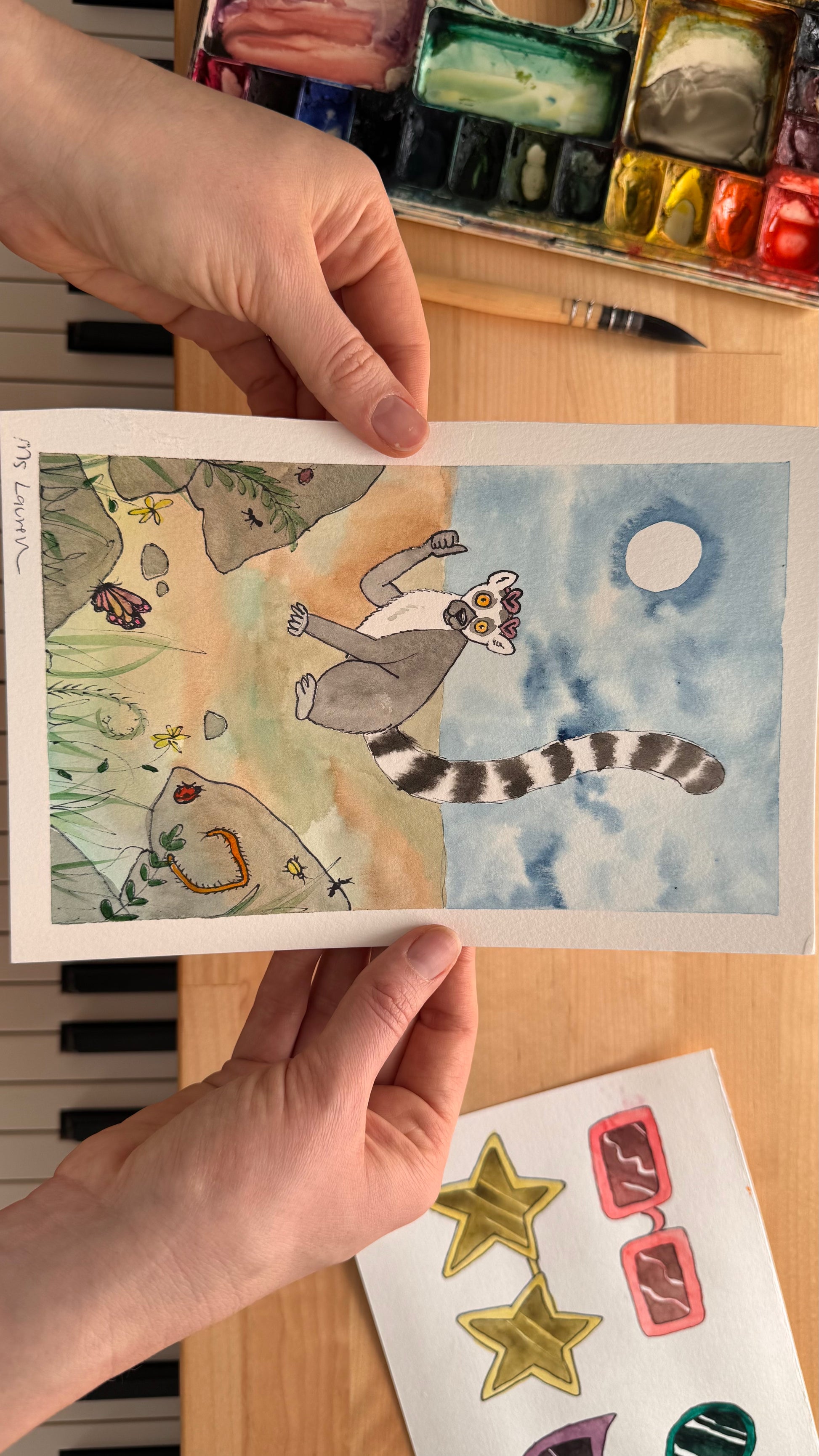 The Ring-tailed Lemur