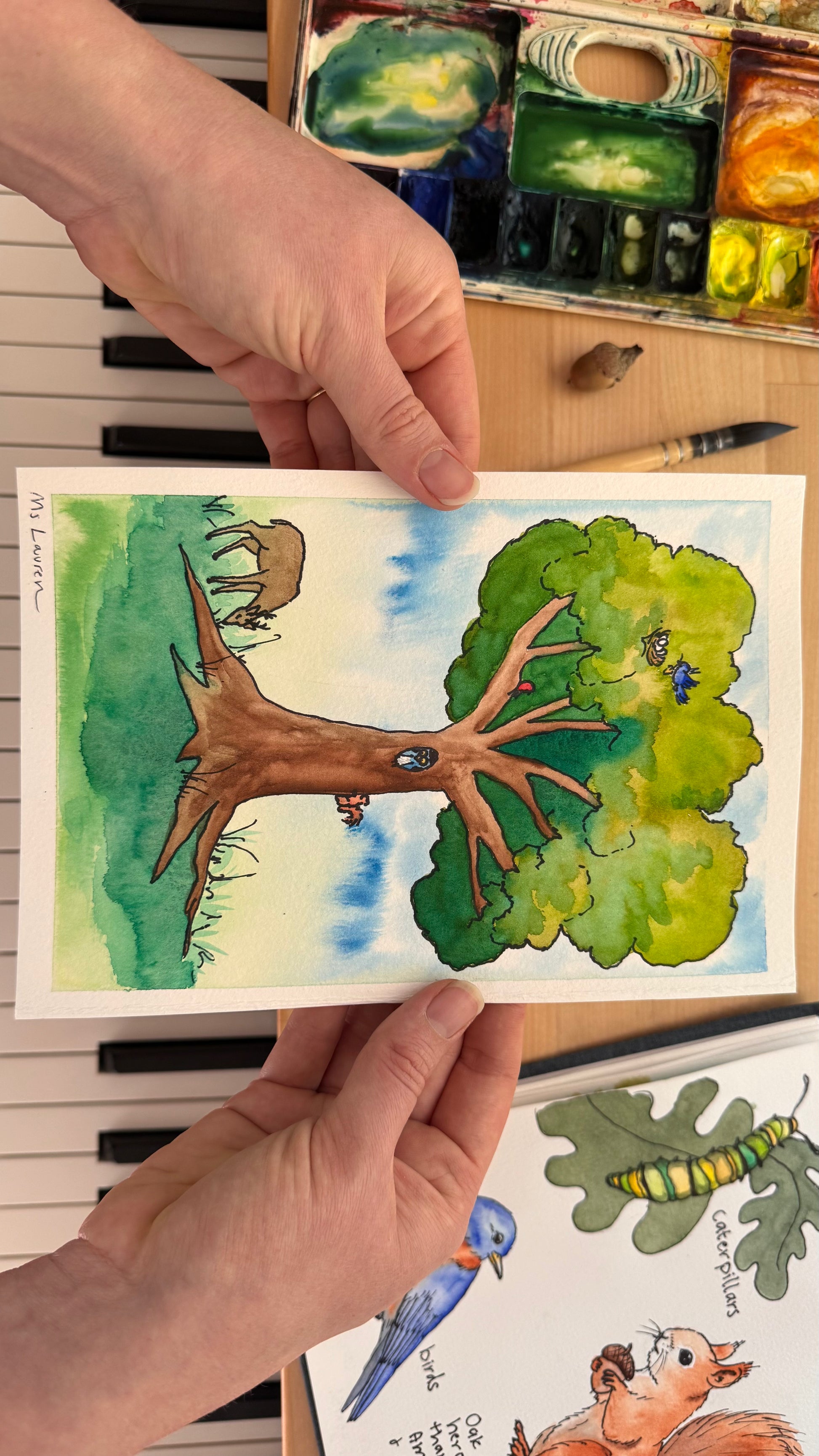 Oak Tree