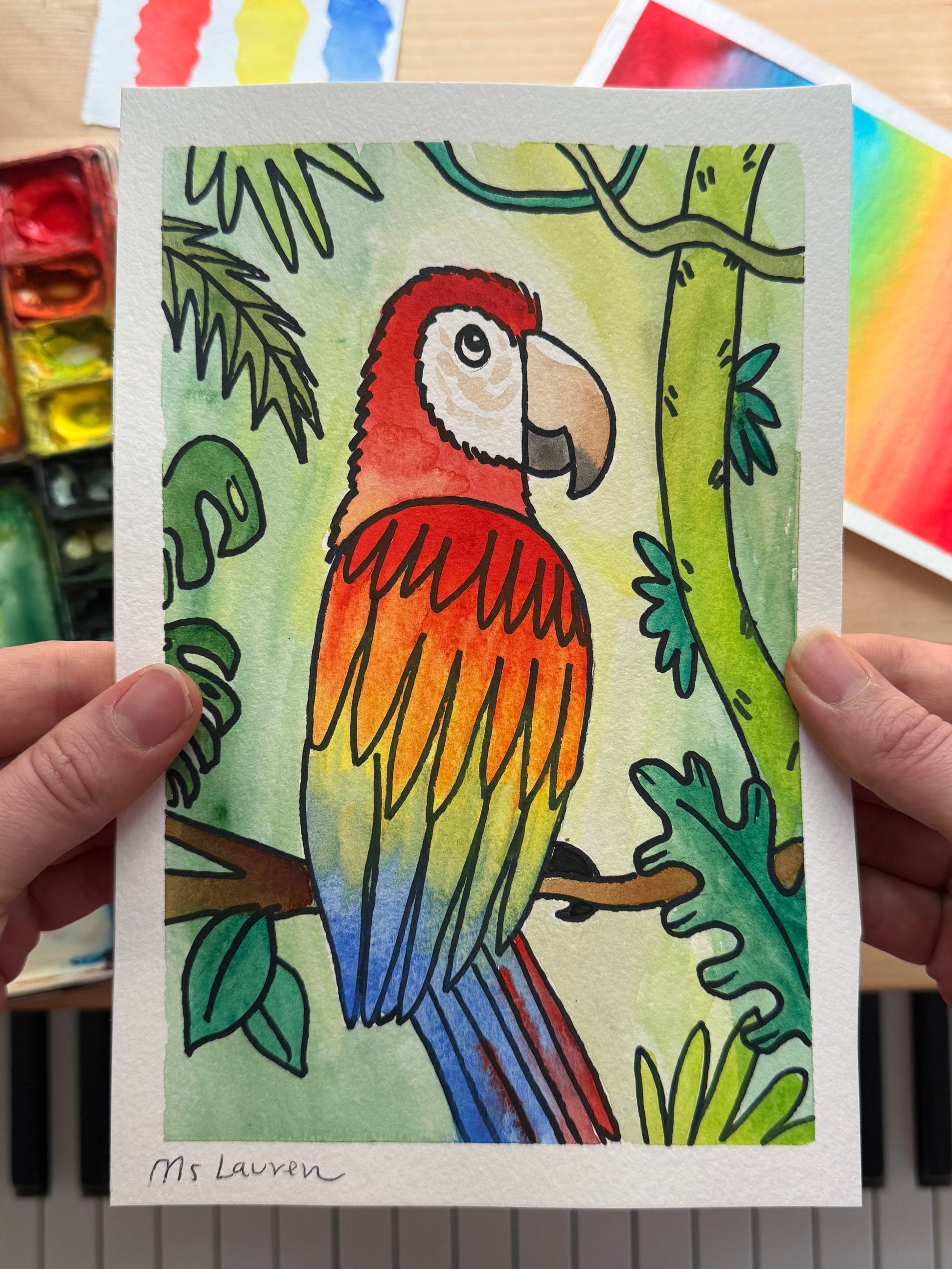 Macaw Parrot