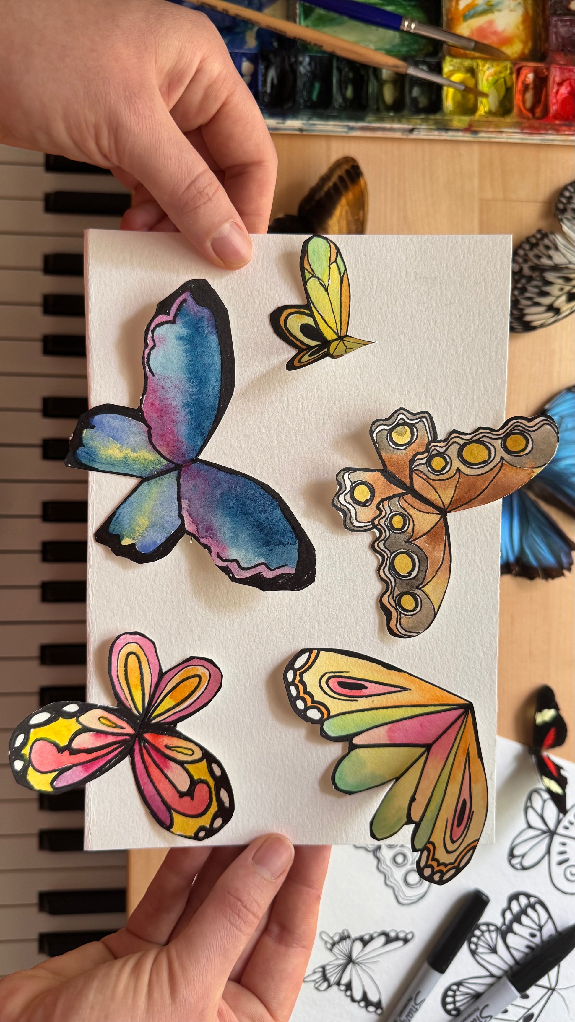 Butterfly Wings