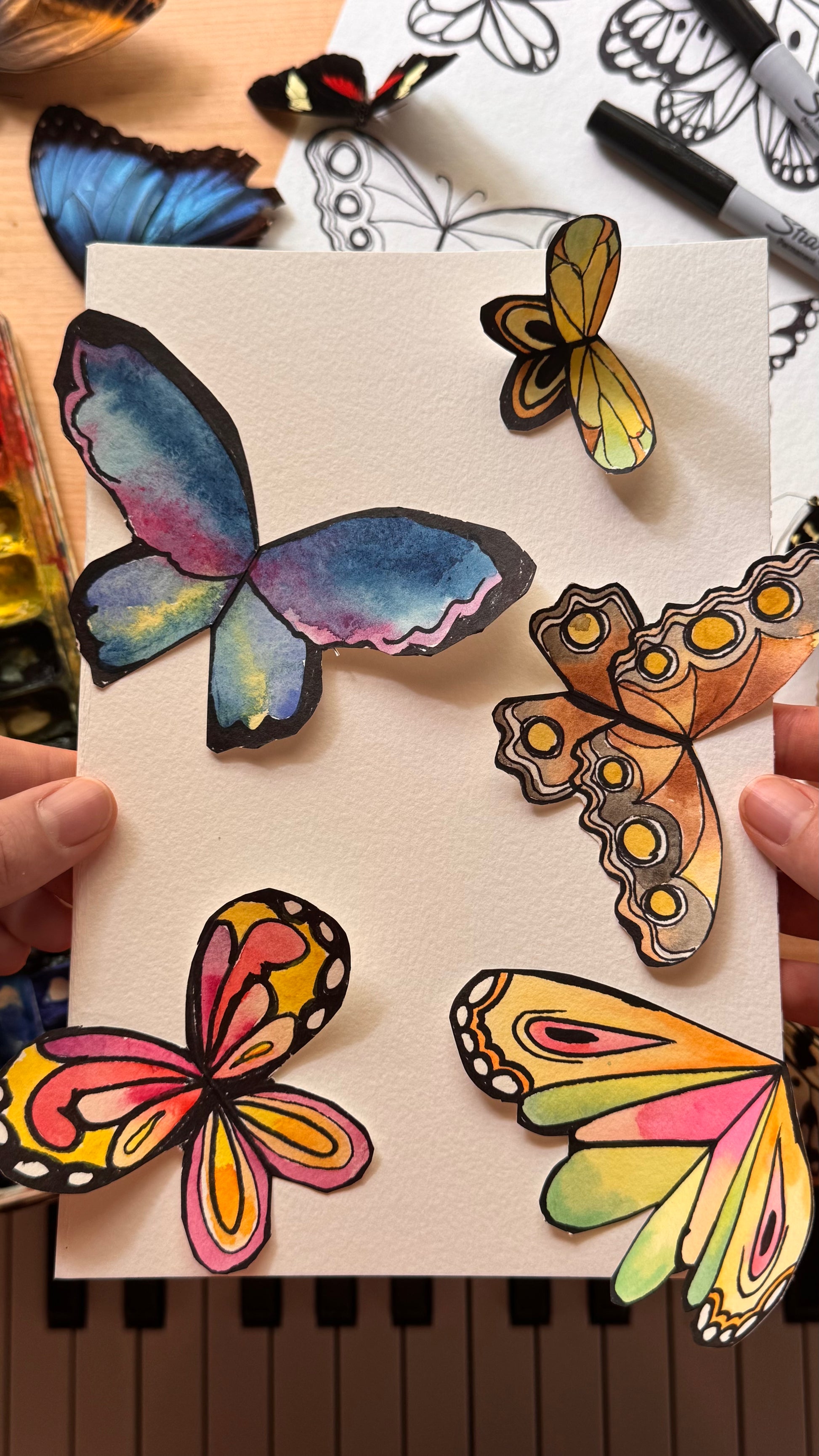 Butterfly Wings