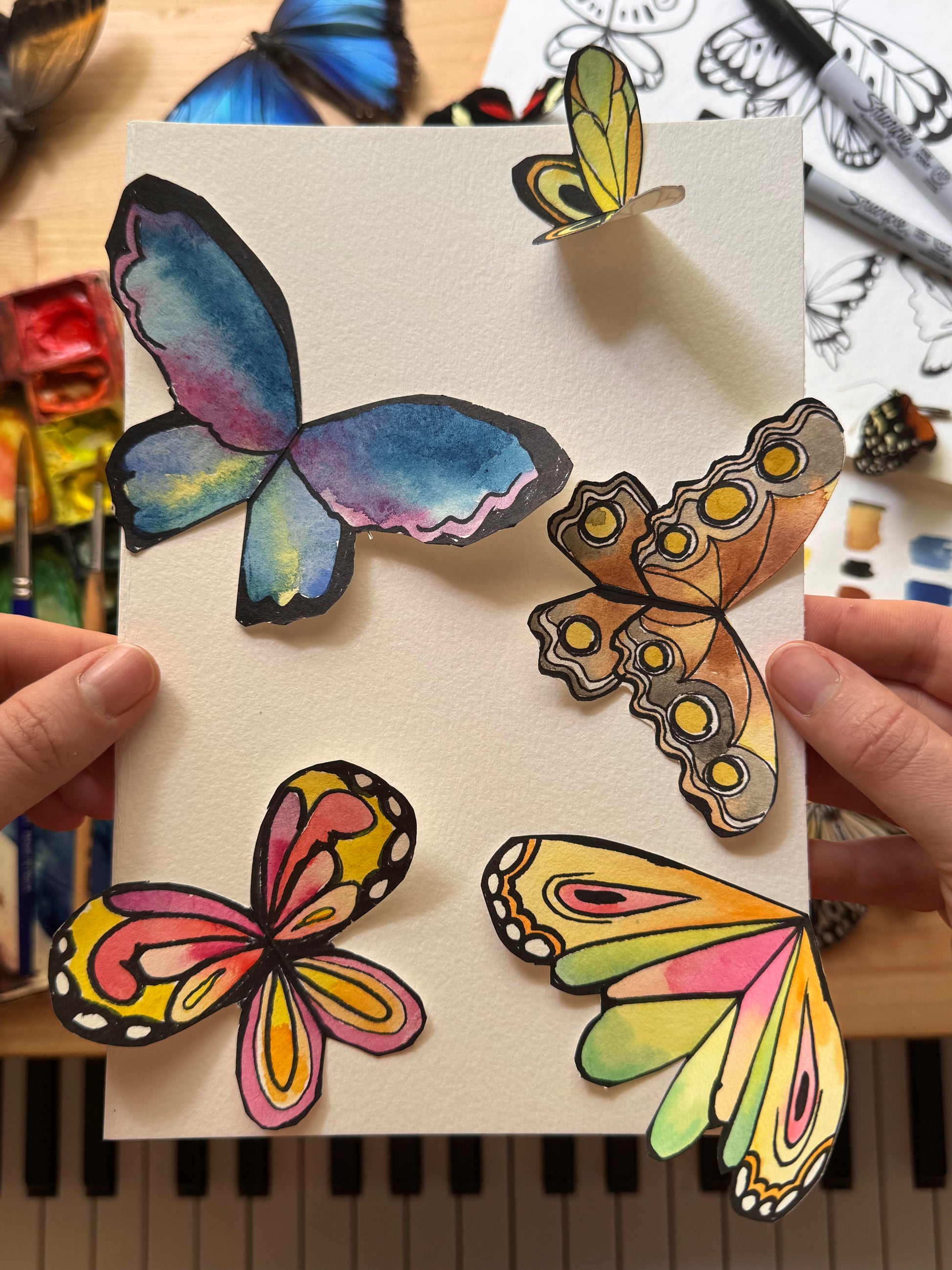 Butterfly Wings