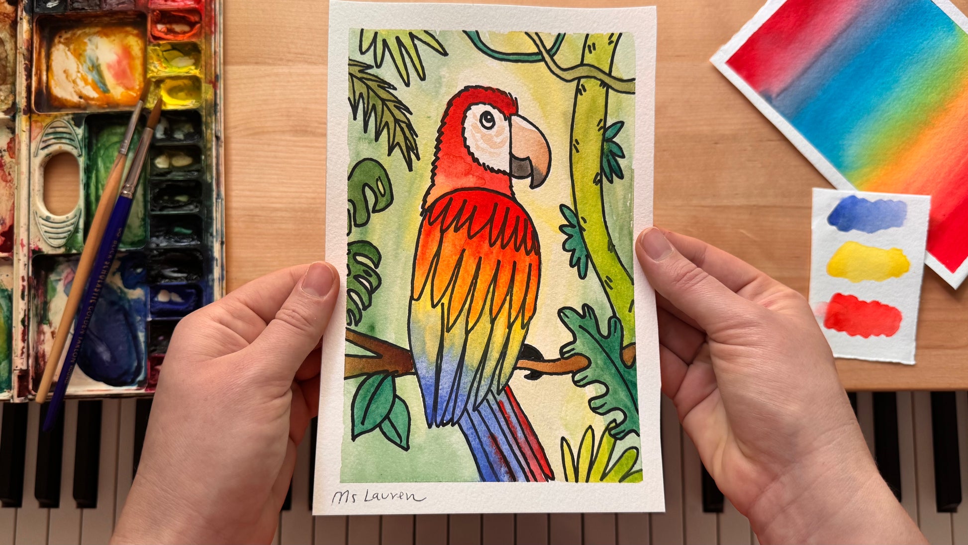 Macaw Parrot