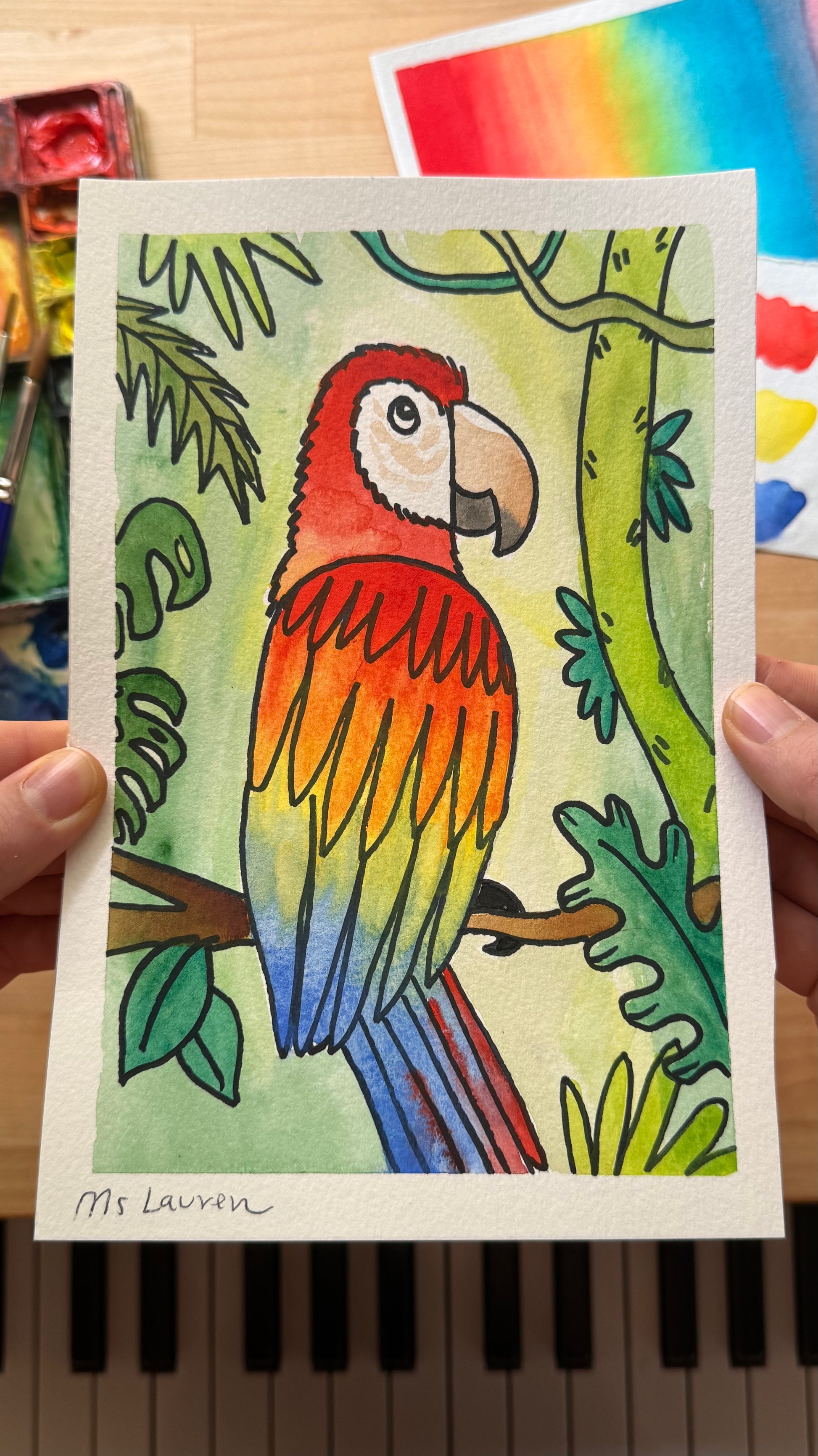 Macaw Parrot